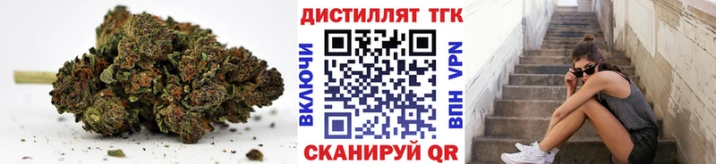 как найти Себеж ТГК концентрат