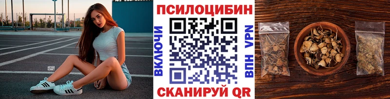 Псилоцибиновые грибы Psilocybe  Себеж 